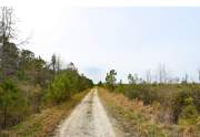 1726-Acres-in-Hyde-County-10-Cropped