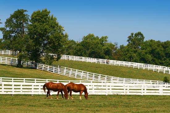 North Carolina fields